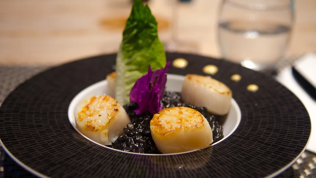 Cook and Sail by Zanzibar est une croisière gay friendly en Martinique dans les Antilles françaises