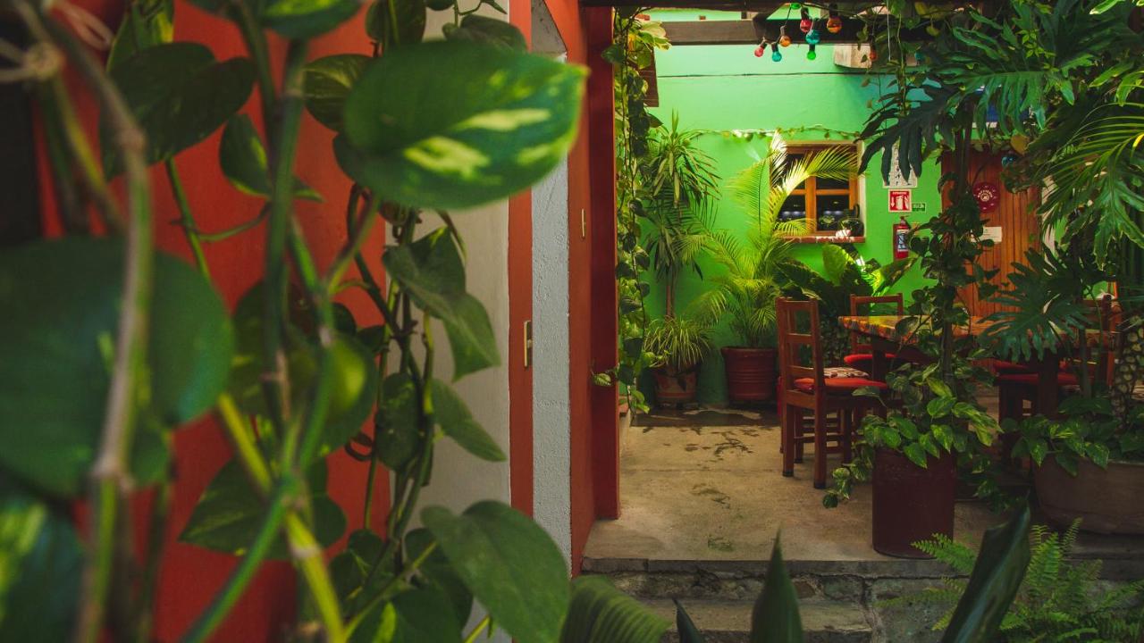 Hotel Las Golondrinas est un hôtel gay friendly à Oaxaca au Mexique