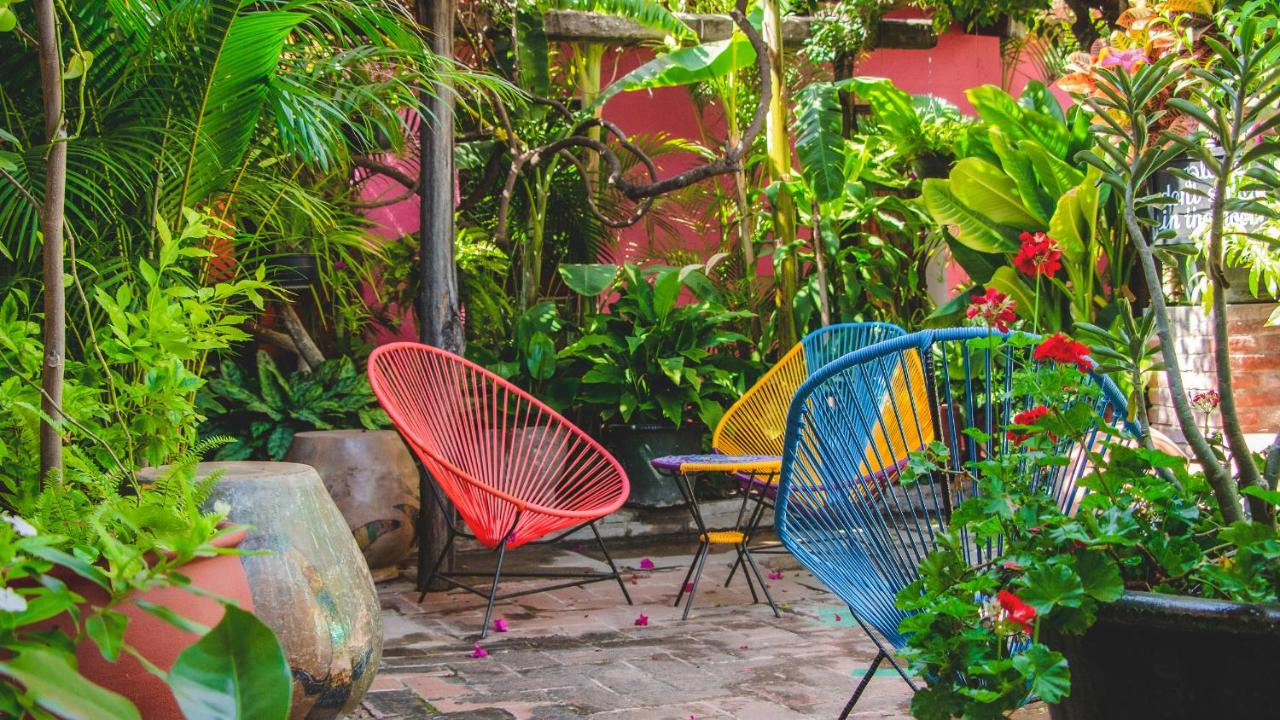 Hotel Las Golondrinas est un hôtel gay friendly à Oaxaca au Mexique