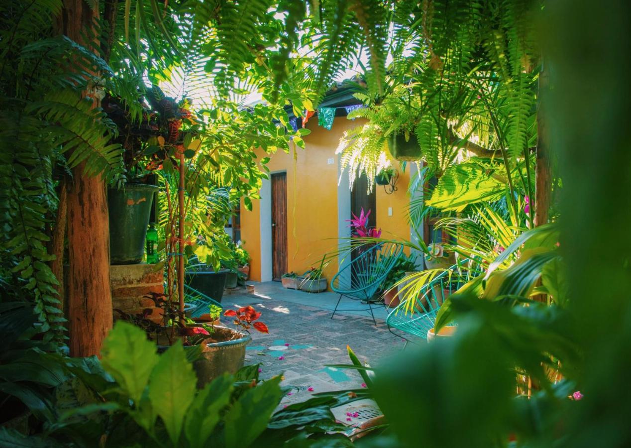 Hotel Las Golondrinas est un hôtel gay friendly à Oaxaca au Mexique