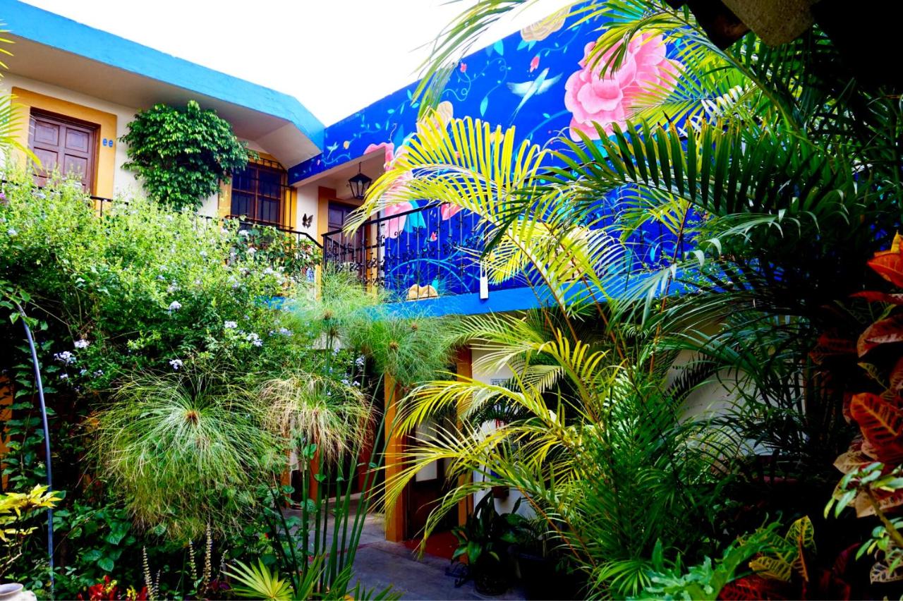 Hotel Las Golondrinas est un hôtel gay friendly à Oaxaca au Mexique