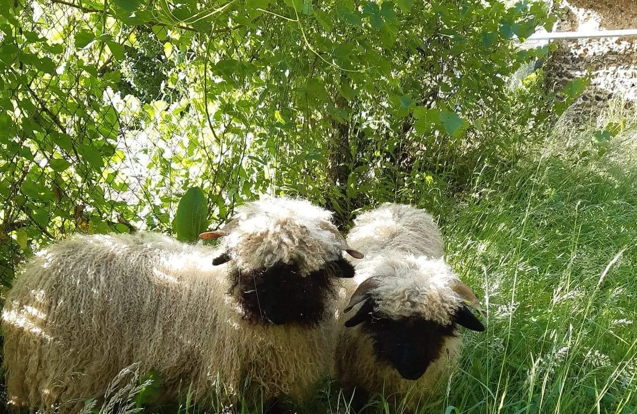 La Heaulmière est une maison d'hôtes gay friendly à Marcilly-sur-Eure dans l'Eure