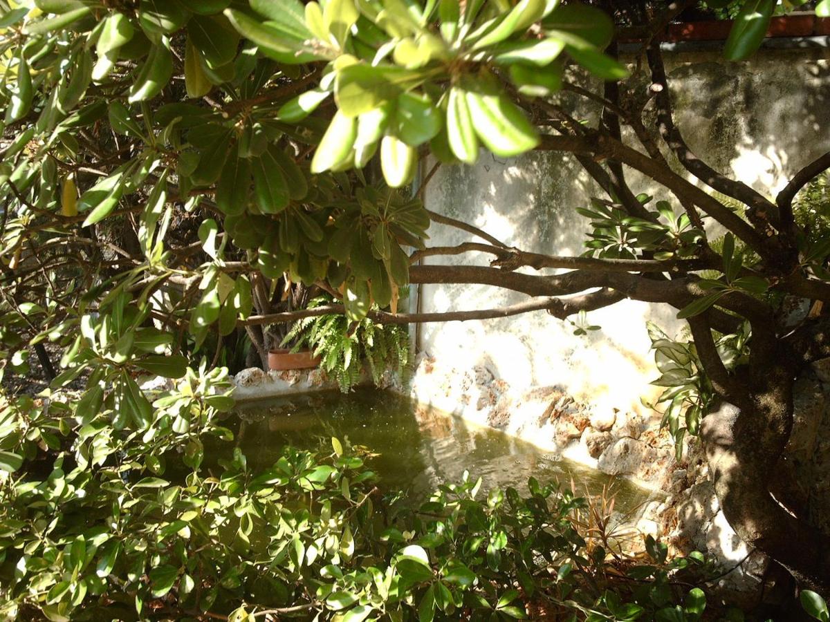 Le Villi est un bed and breakfest gay friendly à Torre del Lago Puccini