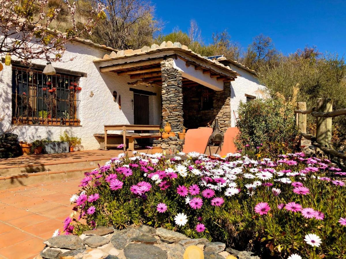 Luz Y Paz est une ferme naturiste et gay friendly à Grenade en Espagne