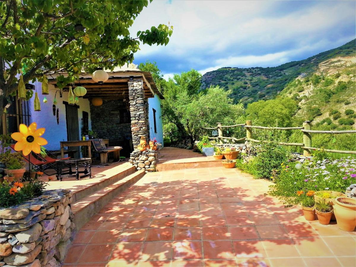 Luz Y Paz est une ferme naturiste et gay friendly à Grenade en Espagne