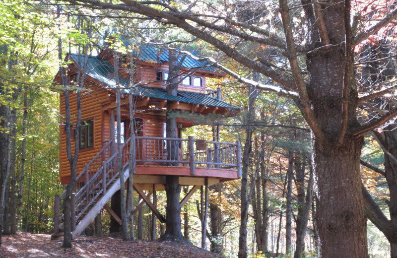 Moose Meadow Lodge & Treehouse est une maison d'hôtes gay friendly à Duxbury dans le Vermont aux États-Unis