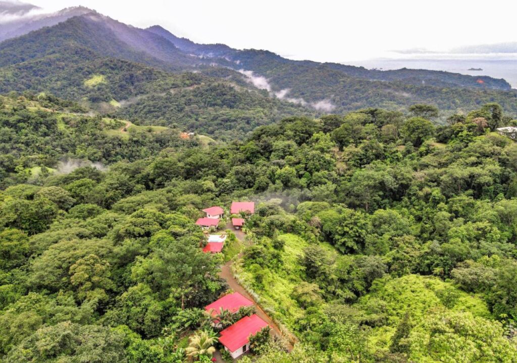 Nature's Edge Boutique Hotel est un hôtel gay friendly à Uvita au Costa Rica