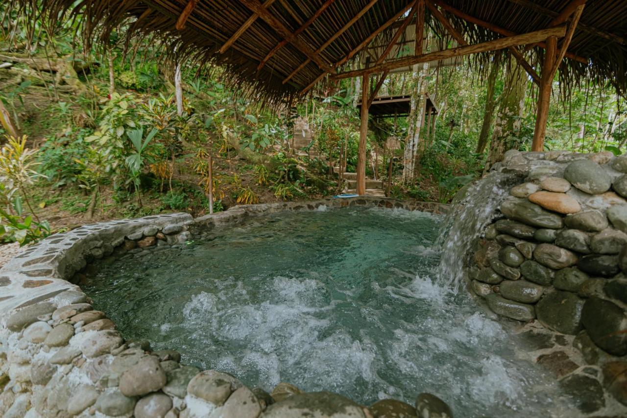 Oasis Diverse Retreat est une maison d'hôtes LGBTQ à Manual Antonio au Costa Rica