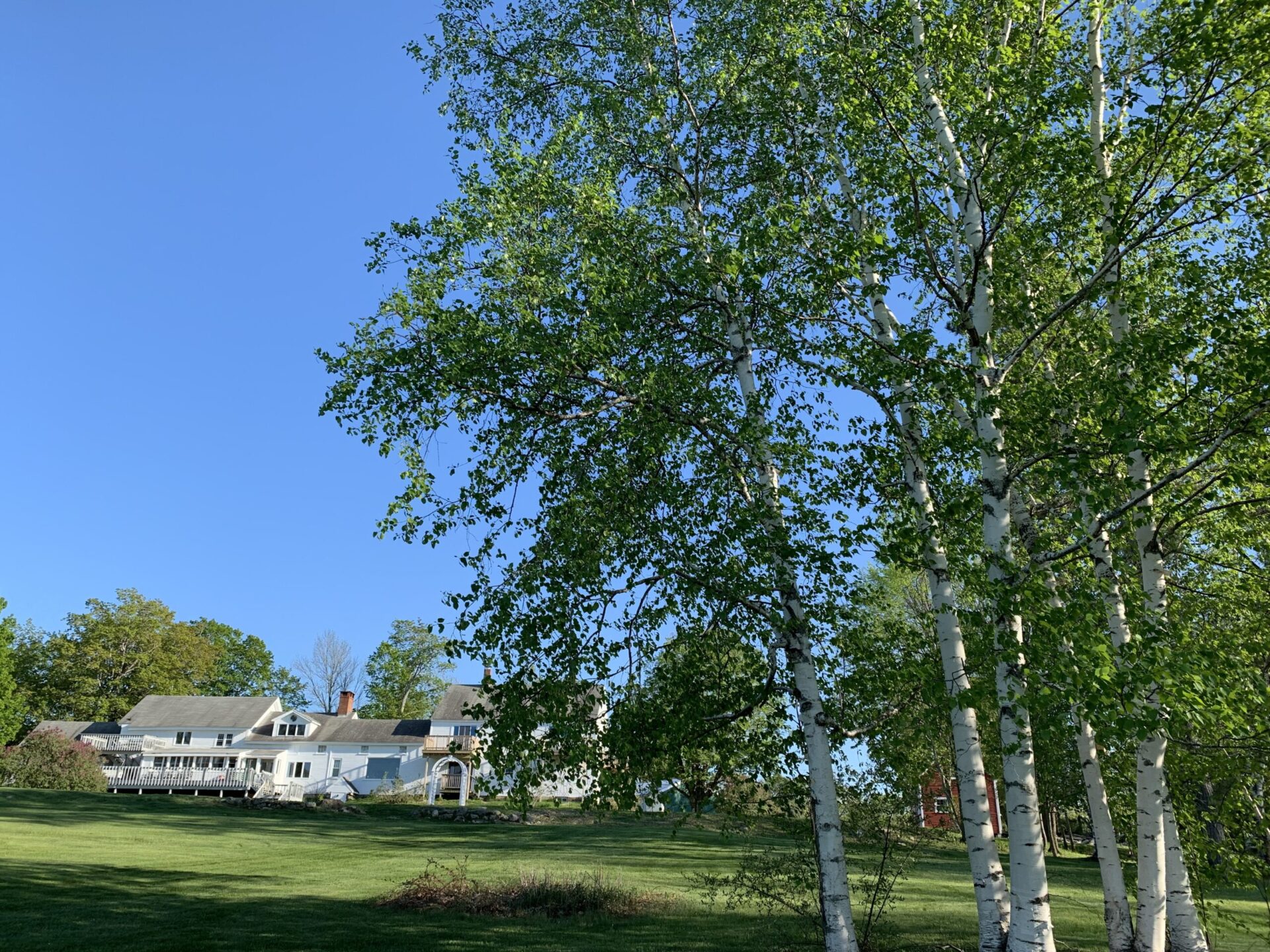 Top of the Ridge Farm Bed & Breakfast est une maison d'hôtes gay friendly à New Durham dans le New Hampshire aux États-Unis