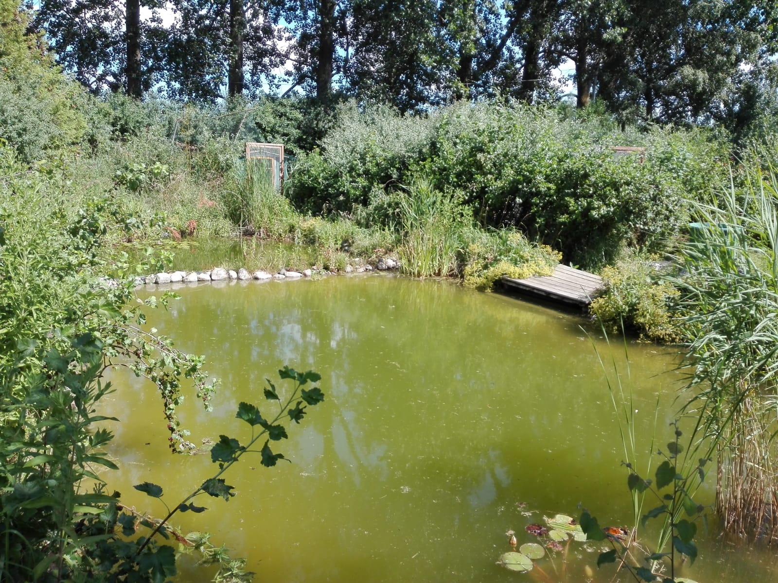 Unser Bauernhof Regenbogenkate est une maison d'hôtes gay en Allemagne