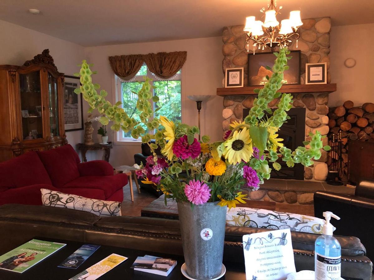 Auberge Sous Les Arbres est un hôtel gay friendly à Gaspé en Gaspésie