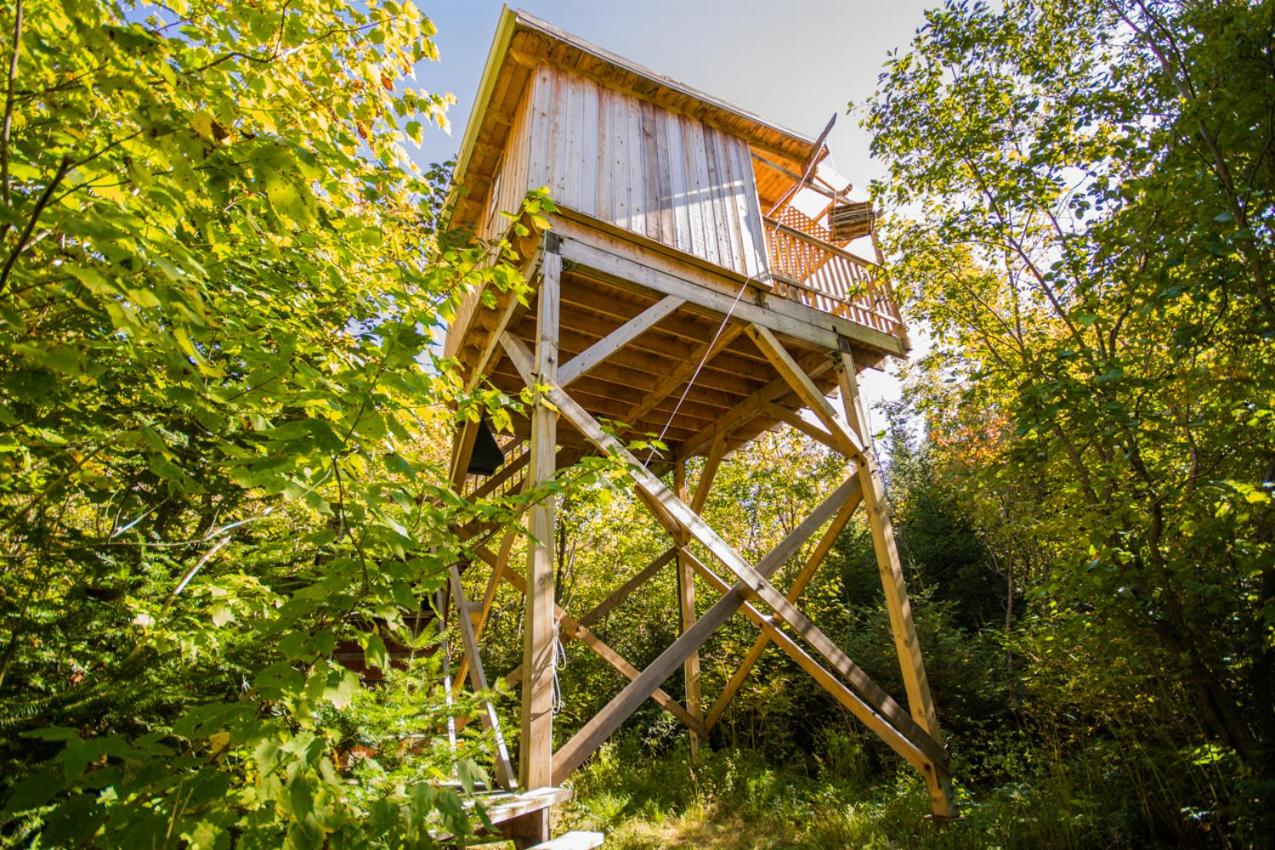 Canopée-Lit propose des chalets locatifs gay friendly à Sacré Coeur en Côte Nord au Québec