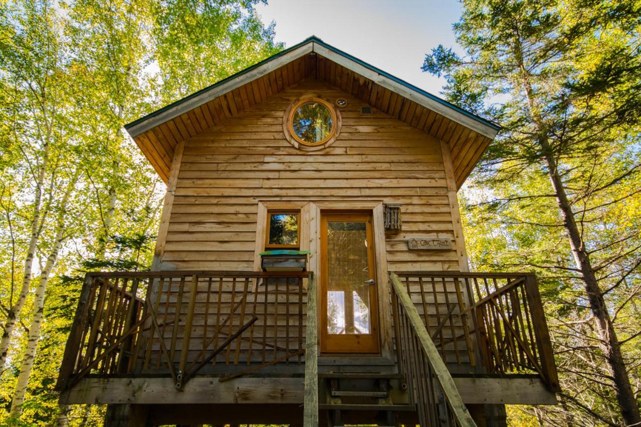 Canopée-Lit propose des chalets locatifs gay friendly à Sacré Coeur en Côte Nord au Québec