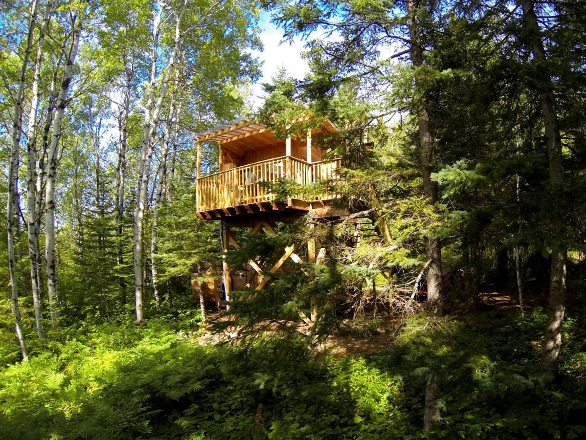 Canopée-Lit propose des chalets locatifs gay friendly à Sacré Coeur en Côte Nord au Québec