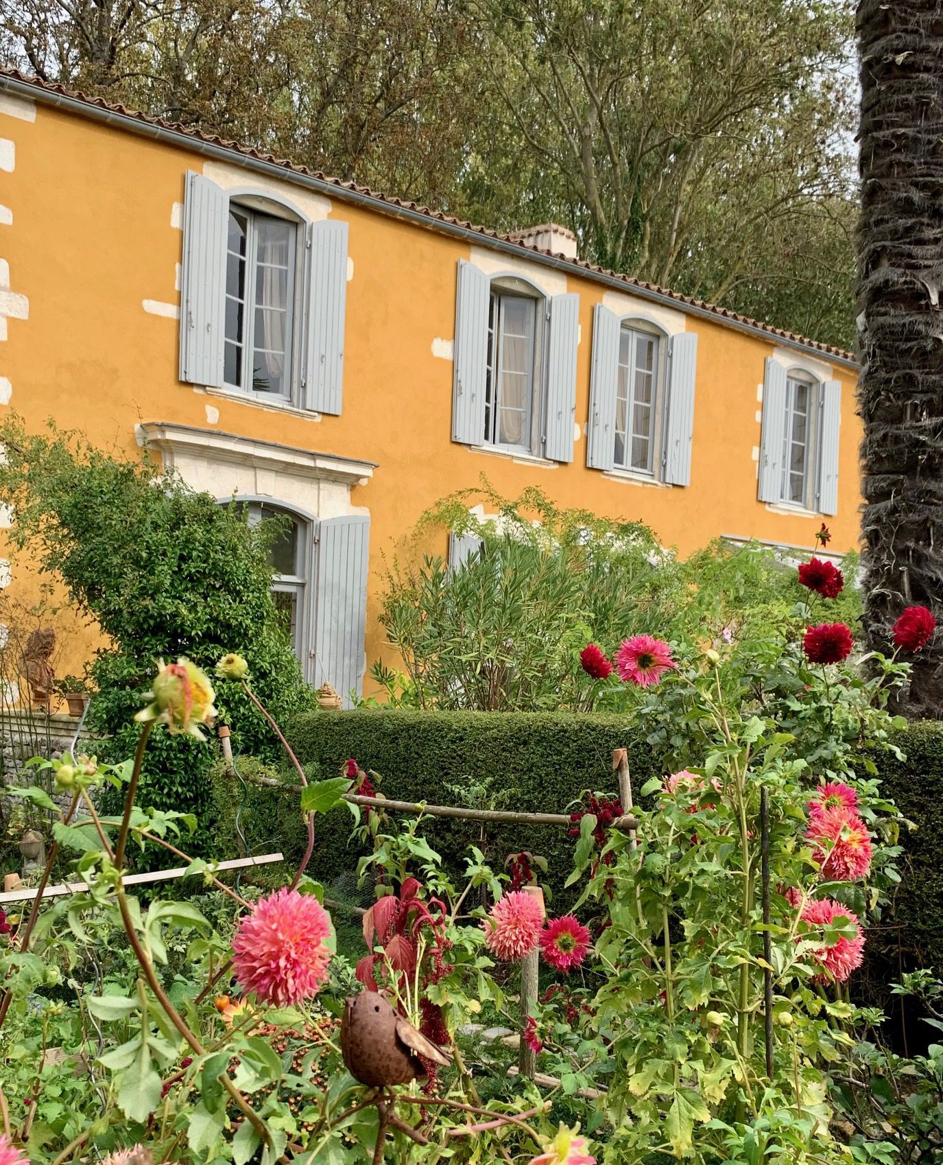 La Borderie du Gô est une maison d’hôtes gay friendly près de La Rochelle en Charente Maritime