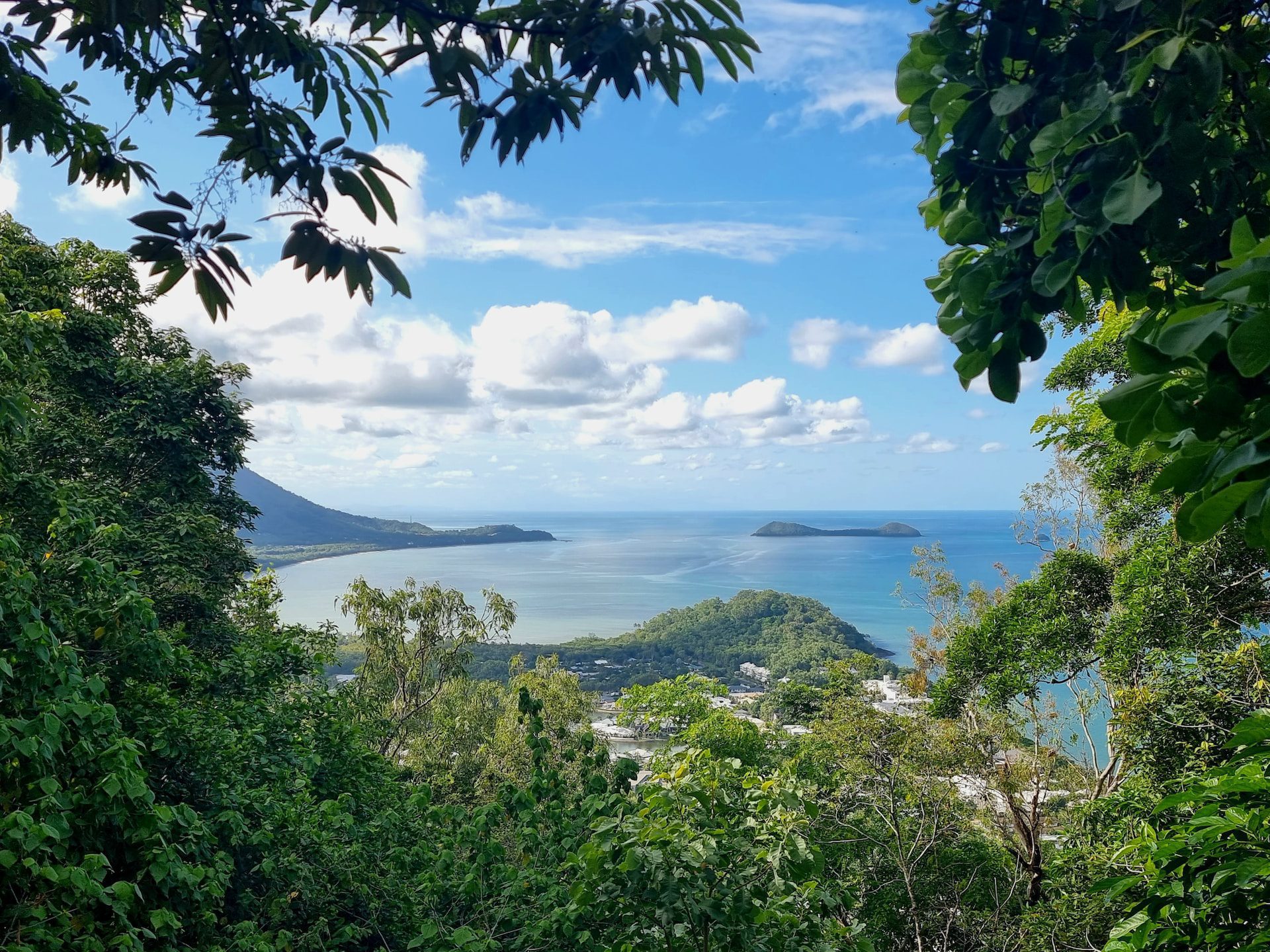 Partir à la découvrir de la forêt tropicale de Cairns