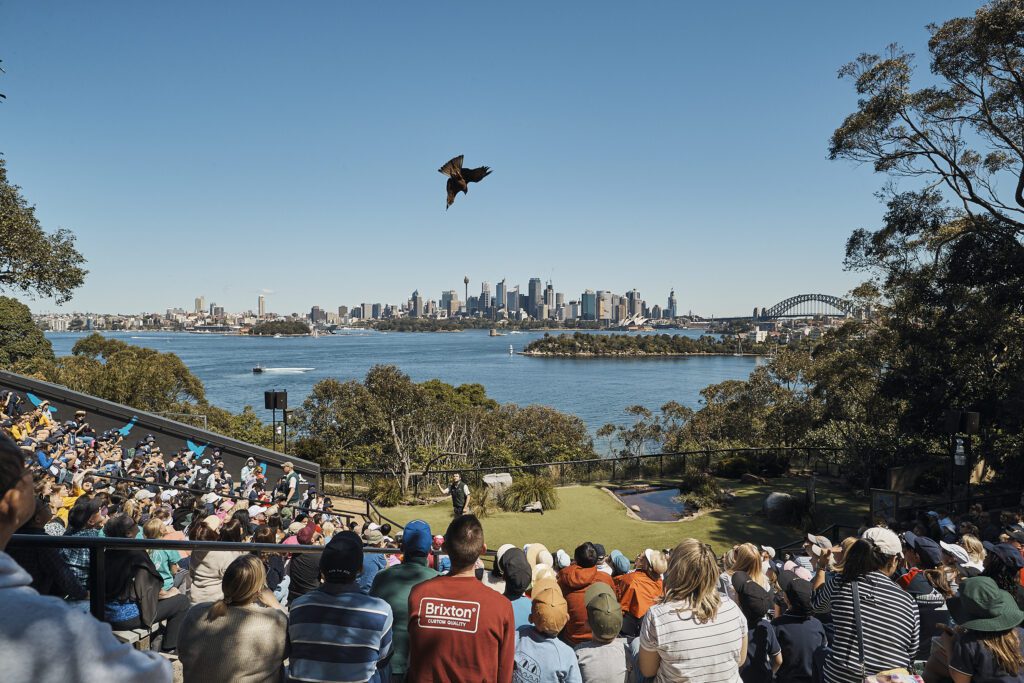 Quand visiter le zoo de Sydney