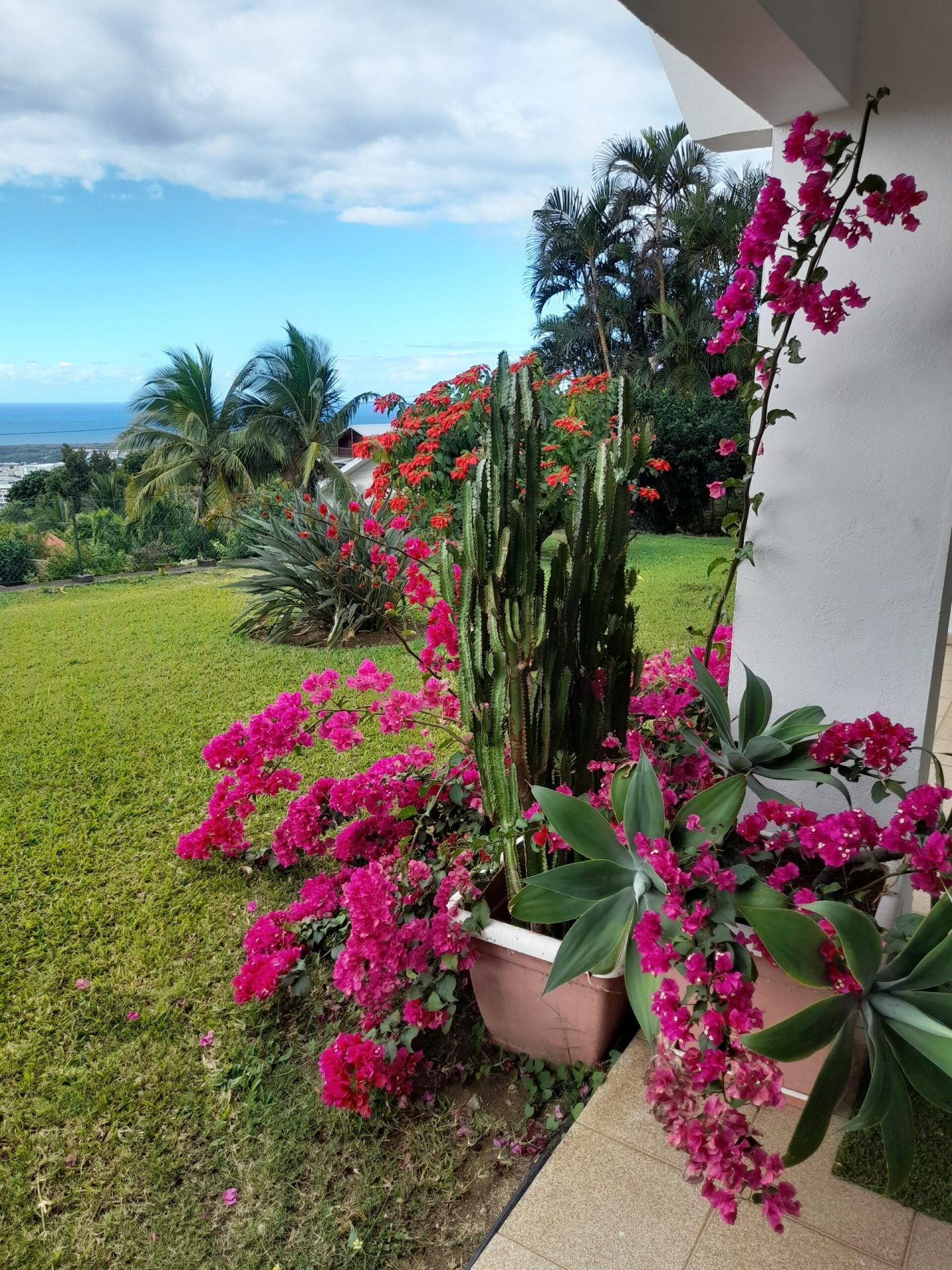 Arbio et Sens Institut est une centre de massage gay à La Réunion à Saint-Denis