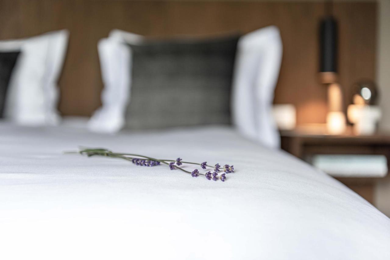 Maison de la Bonne Vie sont chambres d'hôtes gay friendly à Thérondels dans l'Aveyron