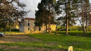 Bears n Breakfast 06