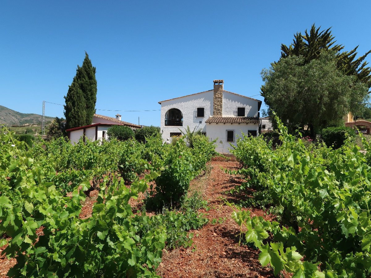 Casa Llibertat est une maison d'hôtes gay friendly à Liber en Alicante