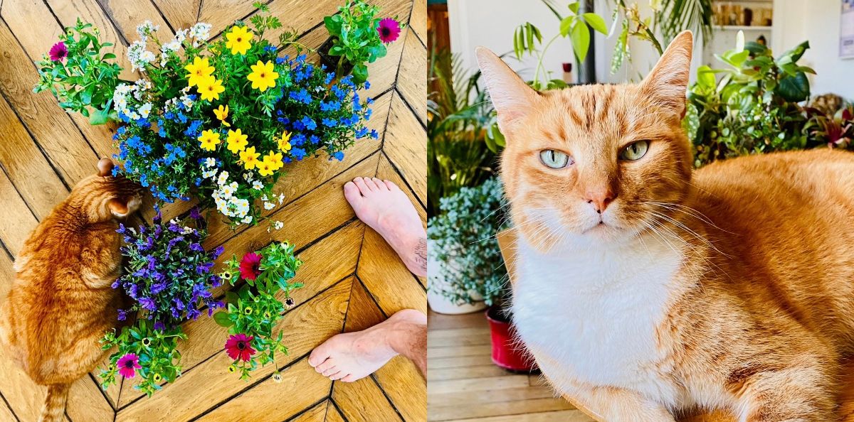 Chambre dans un appartement haussmannien naturiste + studio indépendant proche de Montmartre 04