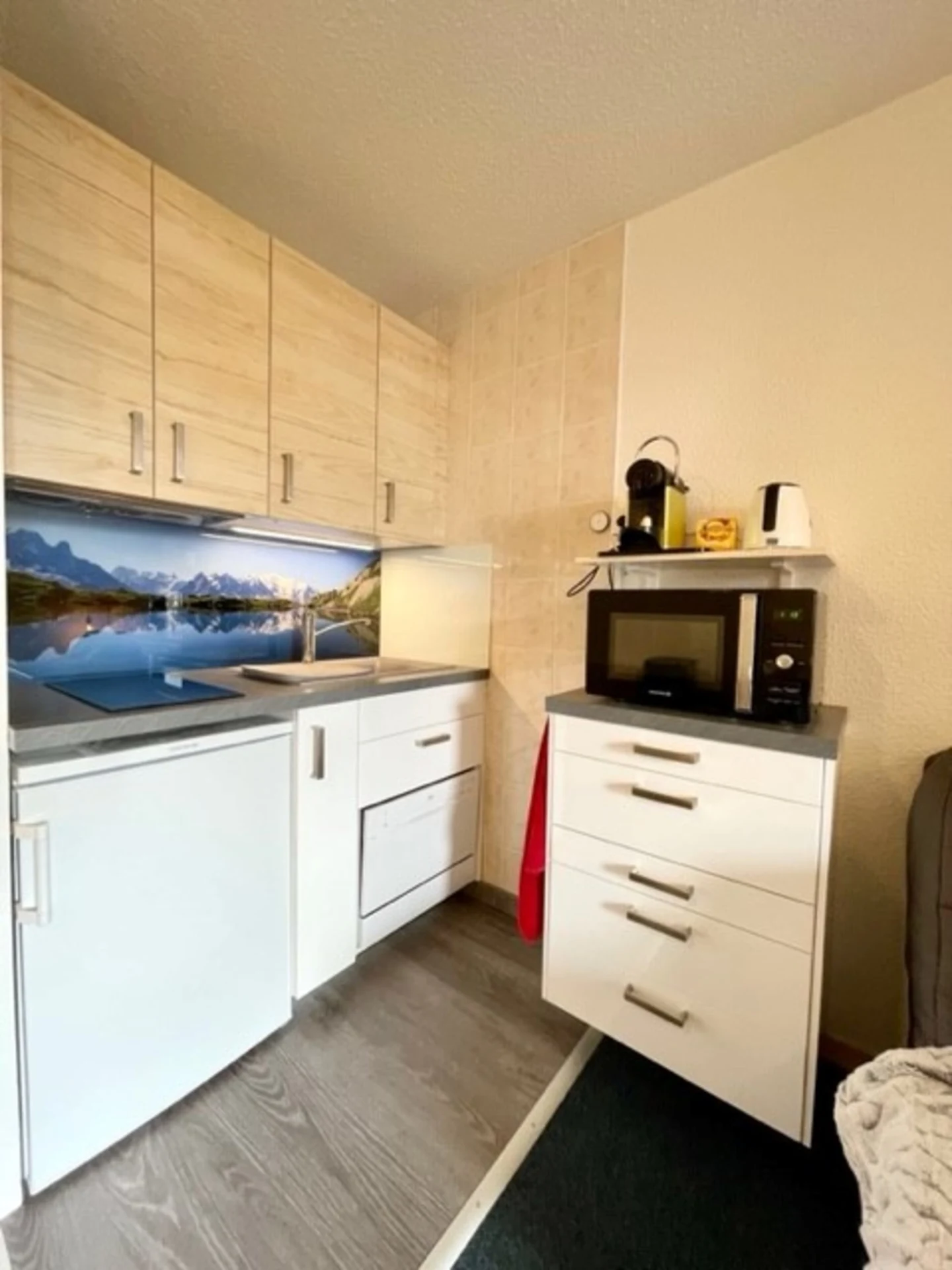 L'AnsloBoys Montagne sont des appartements locatifs gay friendly Les Deux Alpes dans l'Isère