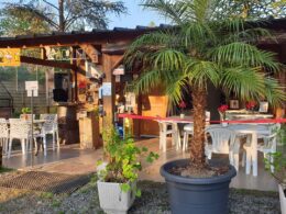 Le Camping en Sologne : pour votre prochain séjour en nature