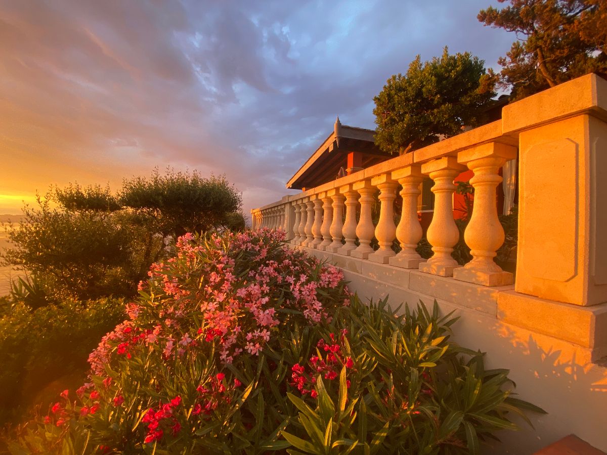 Le Rouquier du Levant 02