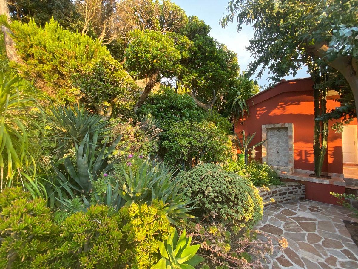 Le Rouquier du Levant 07