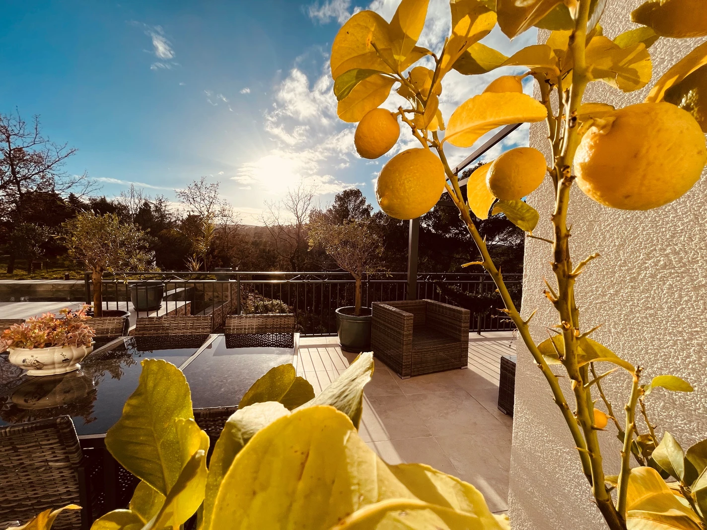 129455_5a3c2ec4a3fb40b08eb280ab4effaa06~mv2