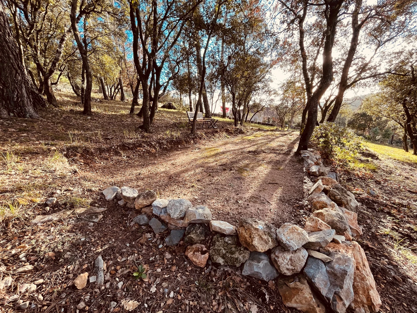 129455_5cff5c325db948ef839a856dcb38be90~mv2