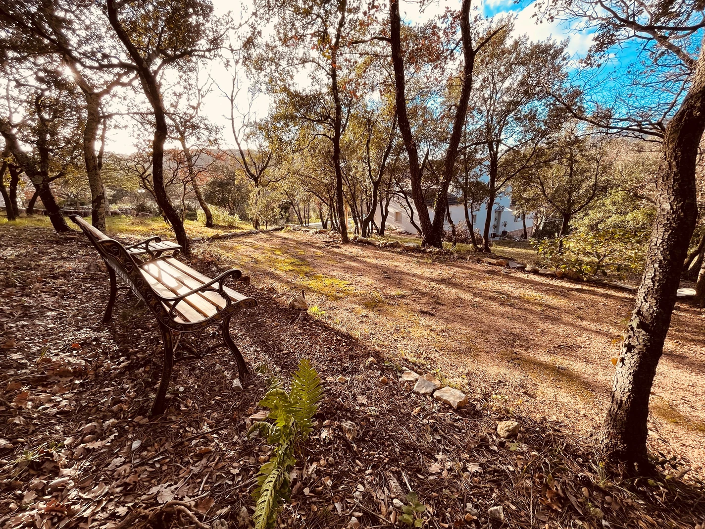 129455_602a867e04394832bc038569998590ac~mv2