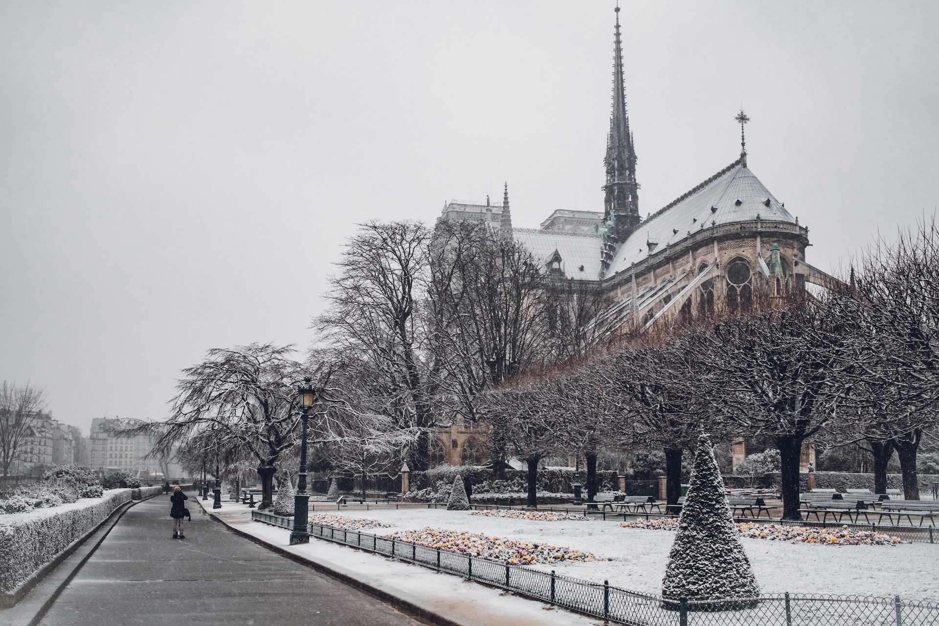 Cathédrale Notre-Dame