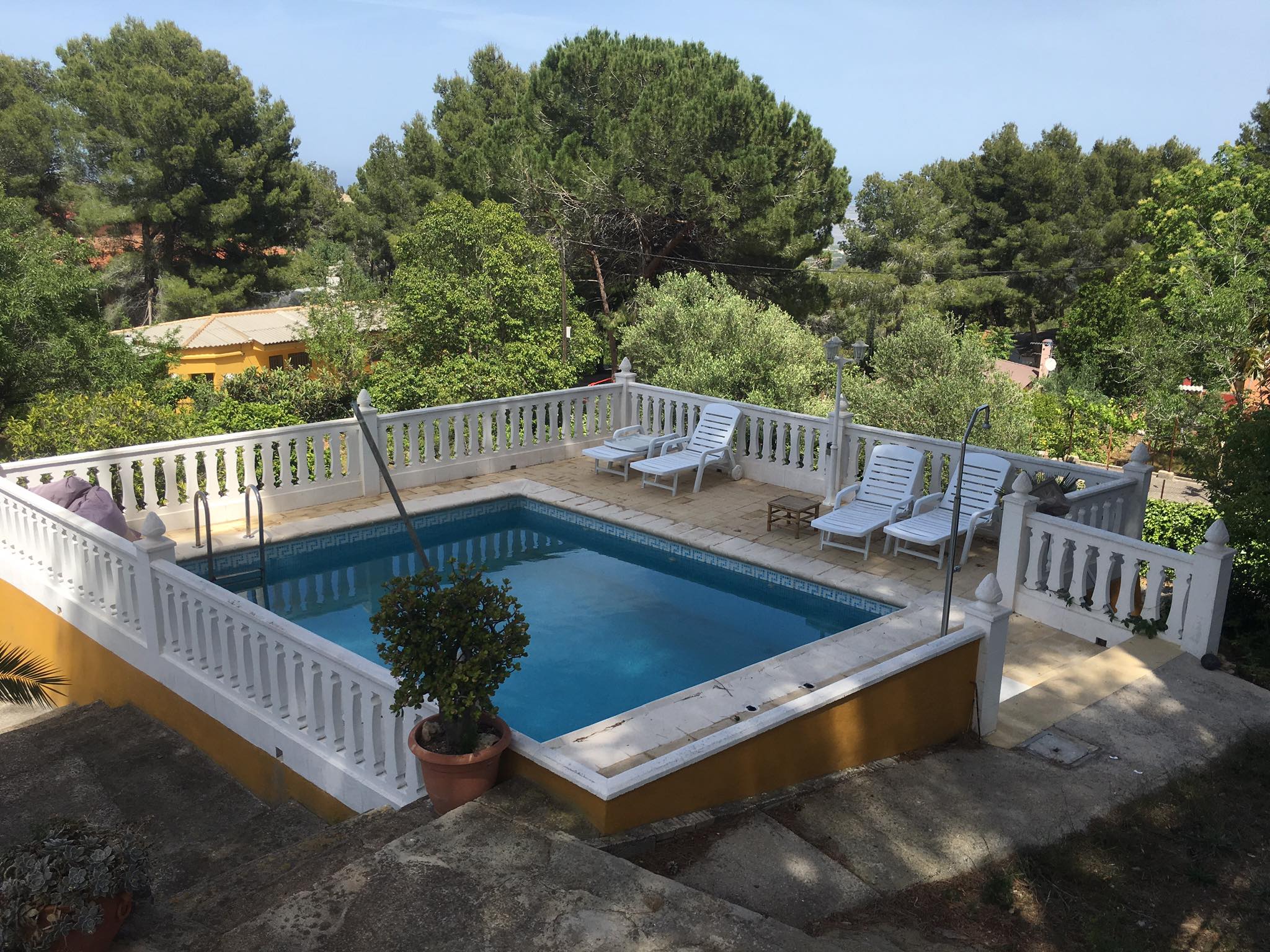 14589890_309643546088625_1243616015677766336_o