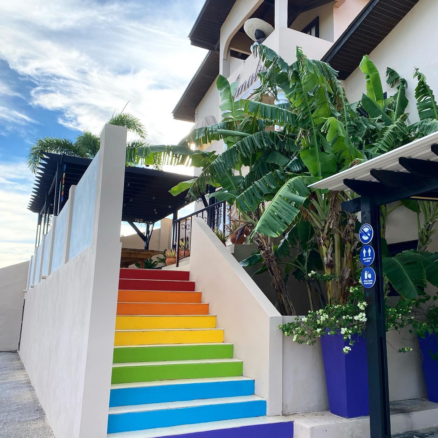 amaliacuracao_250569689_471427714173994_2873859034258778762_n