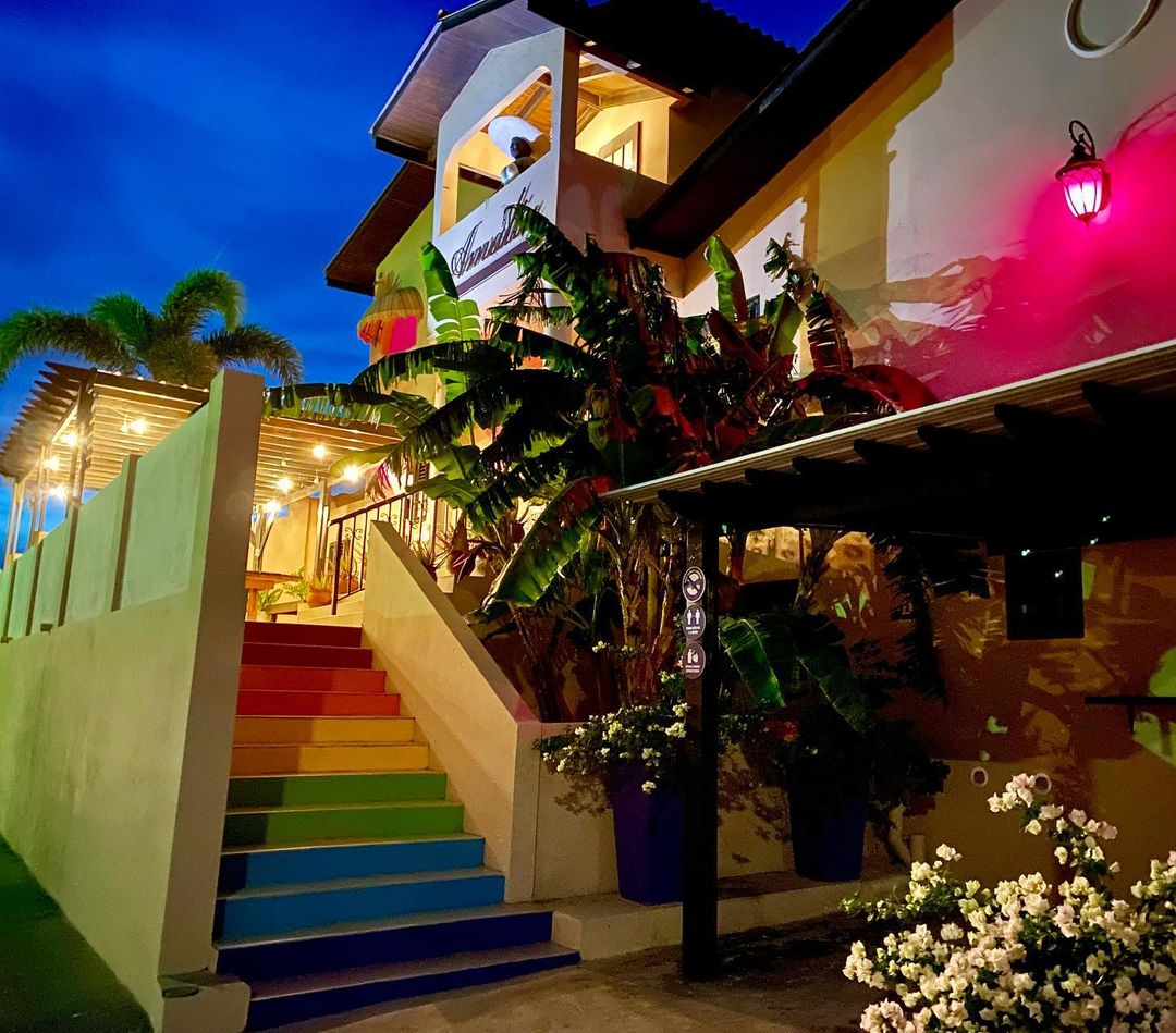 amaliacuracao_252613657_847560975915932_5289685847846421789_n