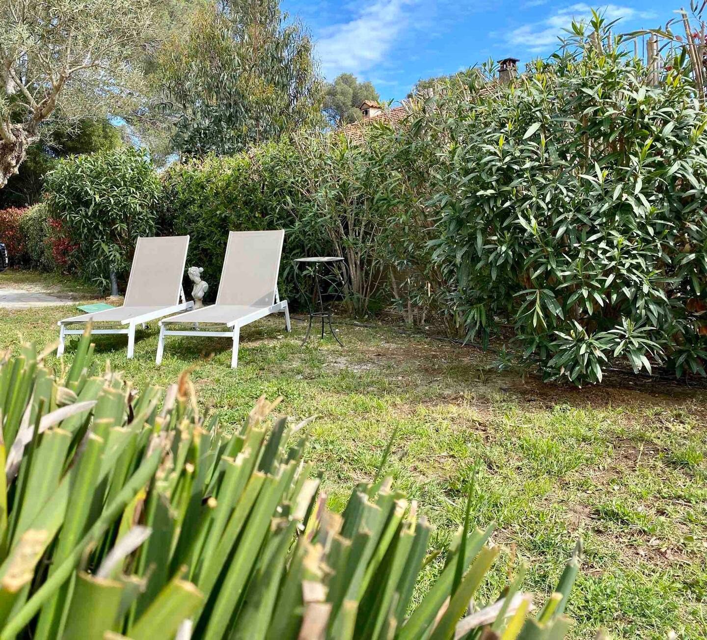 001c1e12-49bc-44f9-b931-7bc2ef44