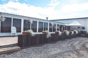 299464655_369726555329190_6726255203108396176_n (1)