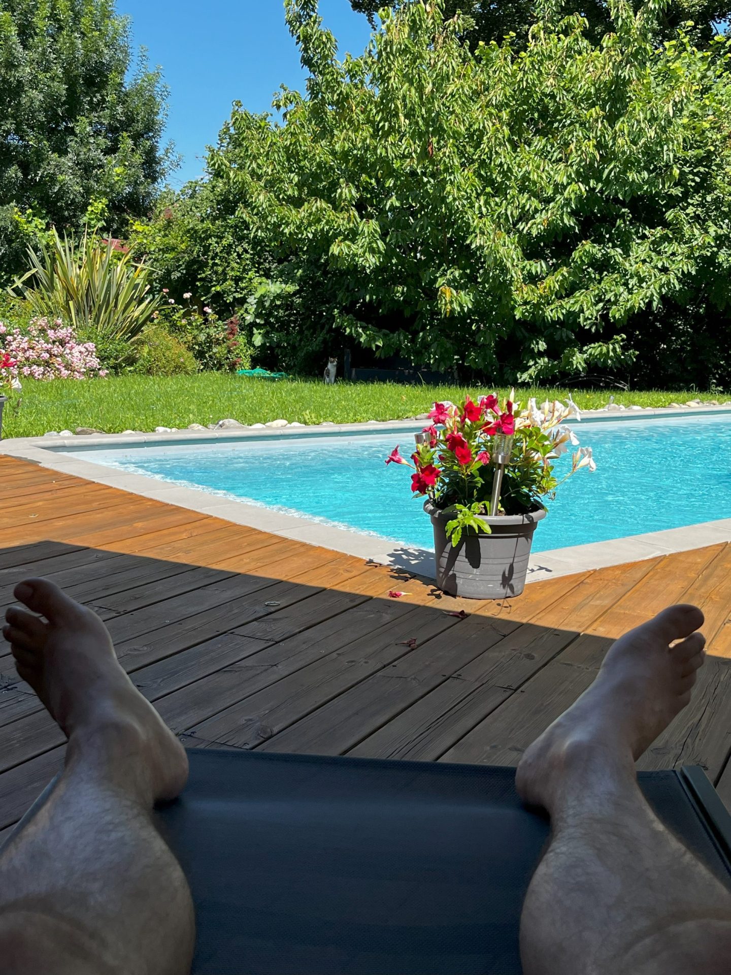 41_doigts de pied en éventail