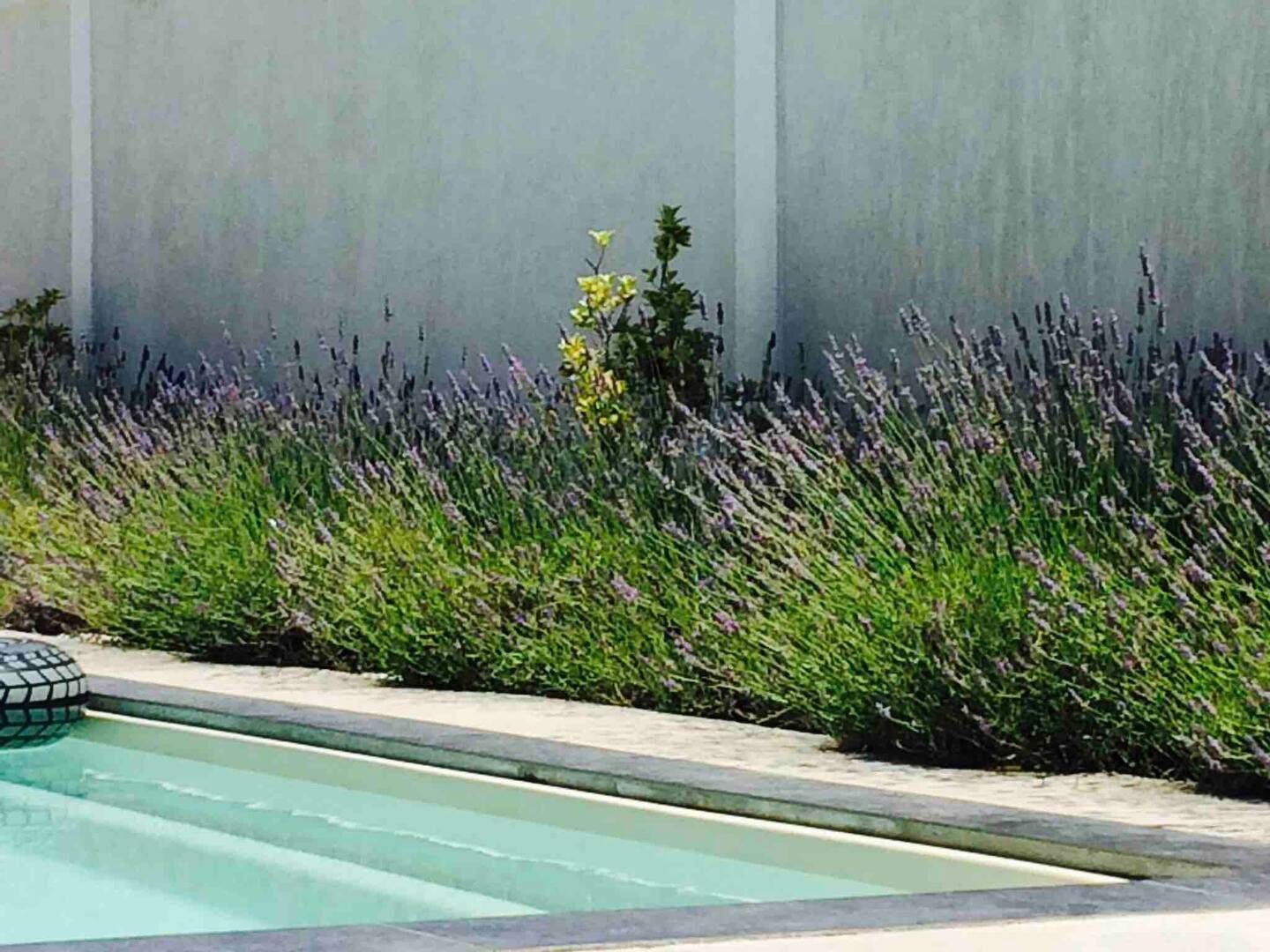 629710bd-85d1-466d-8aba-e8745d2d