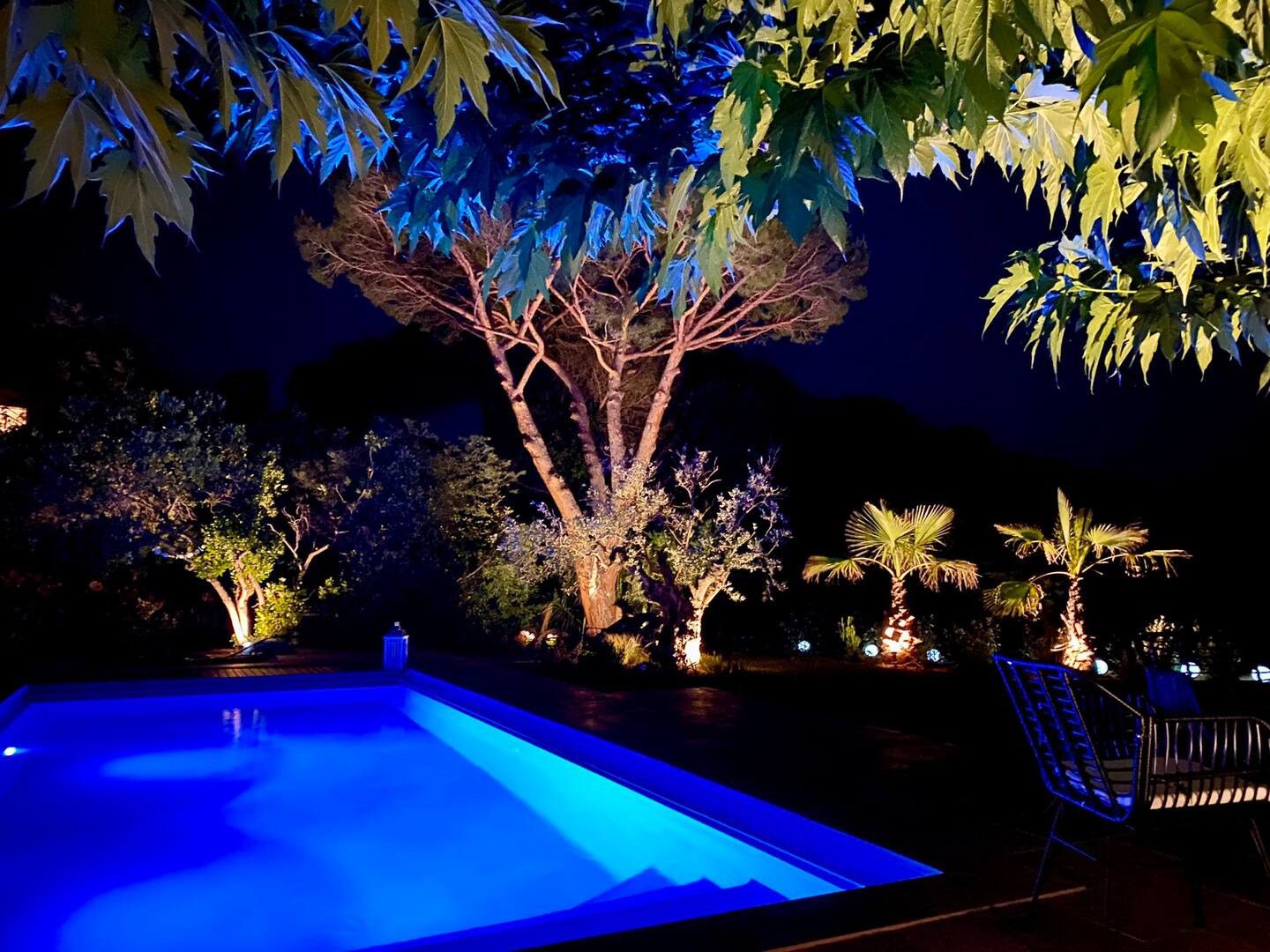 b5131c2b-c9cc-46af-8f7e-81a5bb22