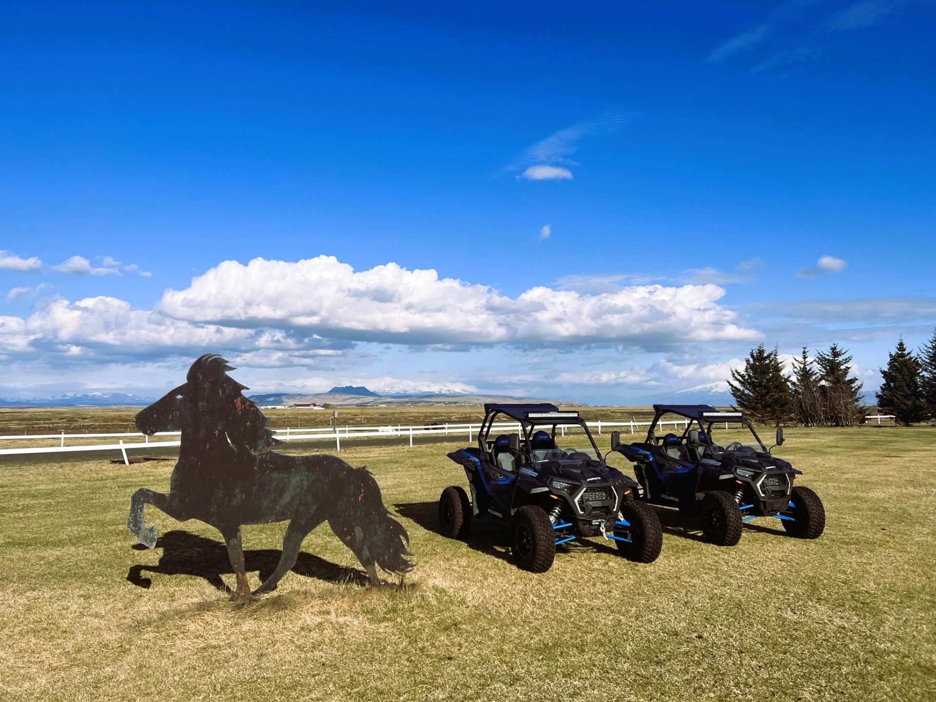 buggy rental