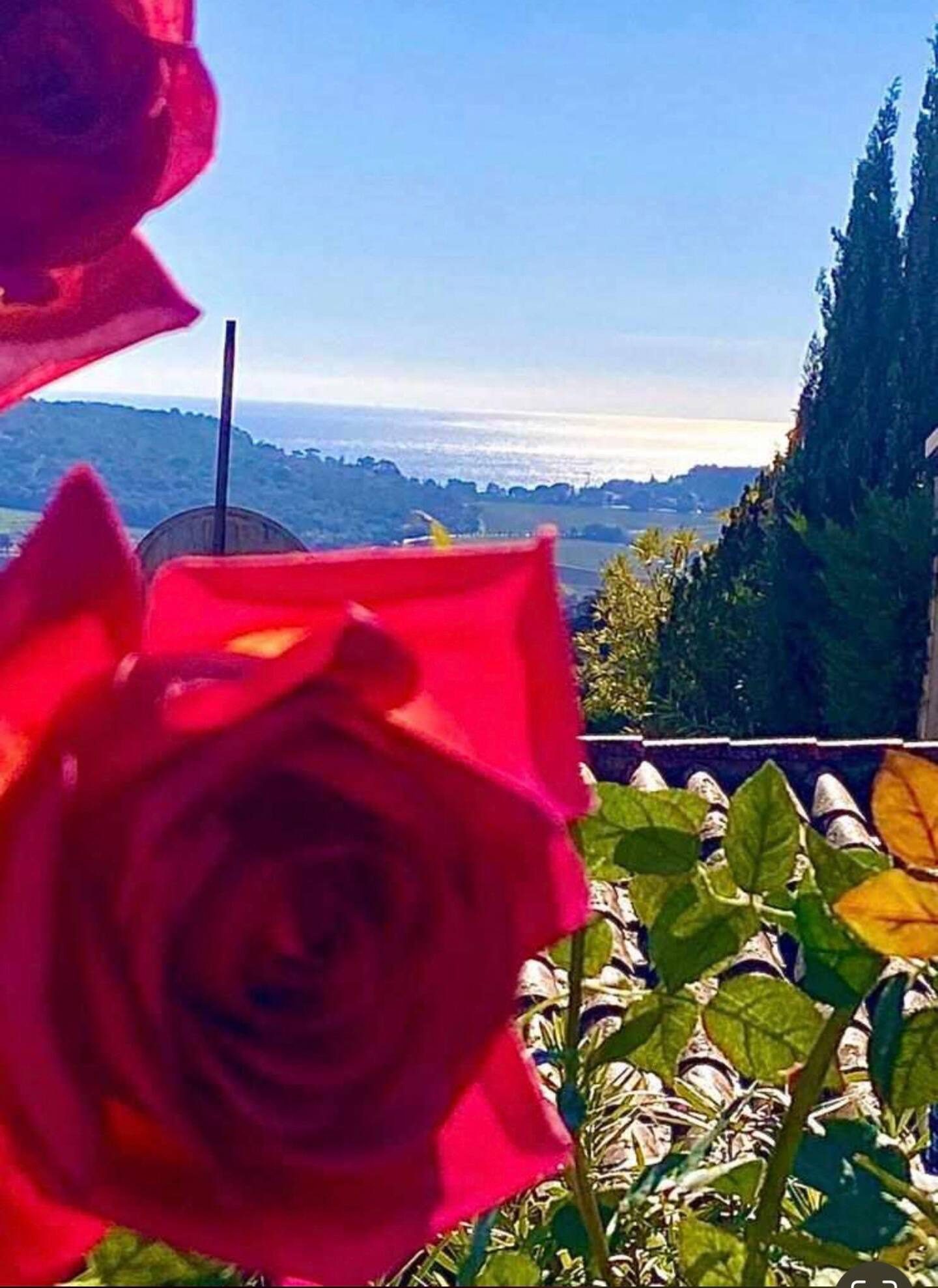 c2d56aac-79b6-4c69-bd15-2055b8fb