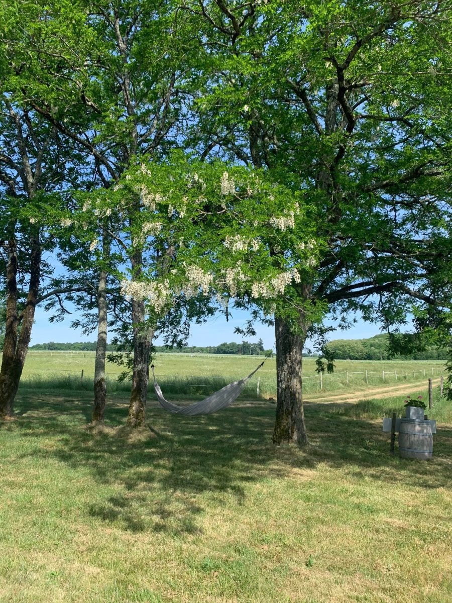 IMG_0498-d7373c1e973f11a79f7262057929f618