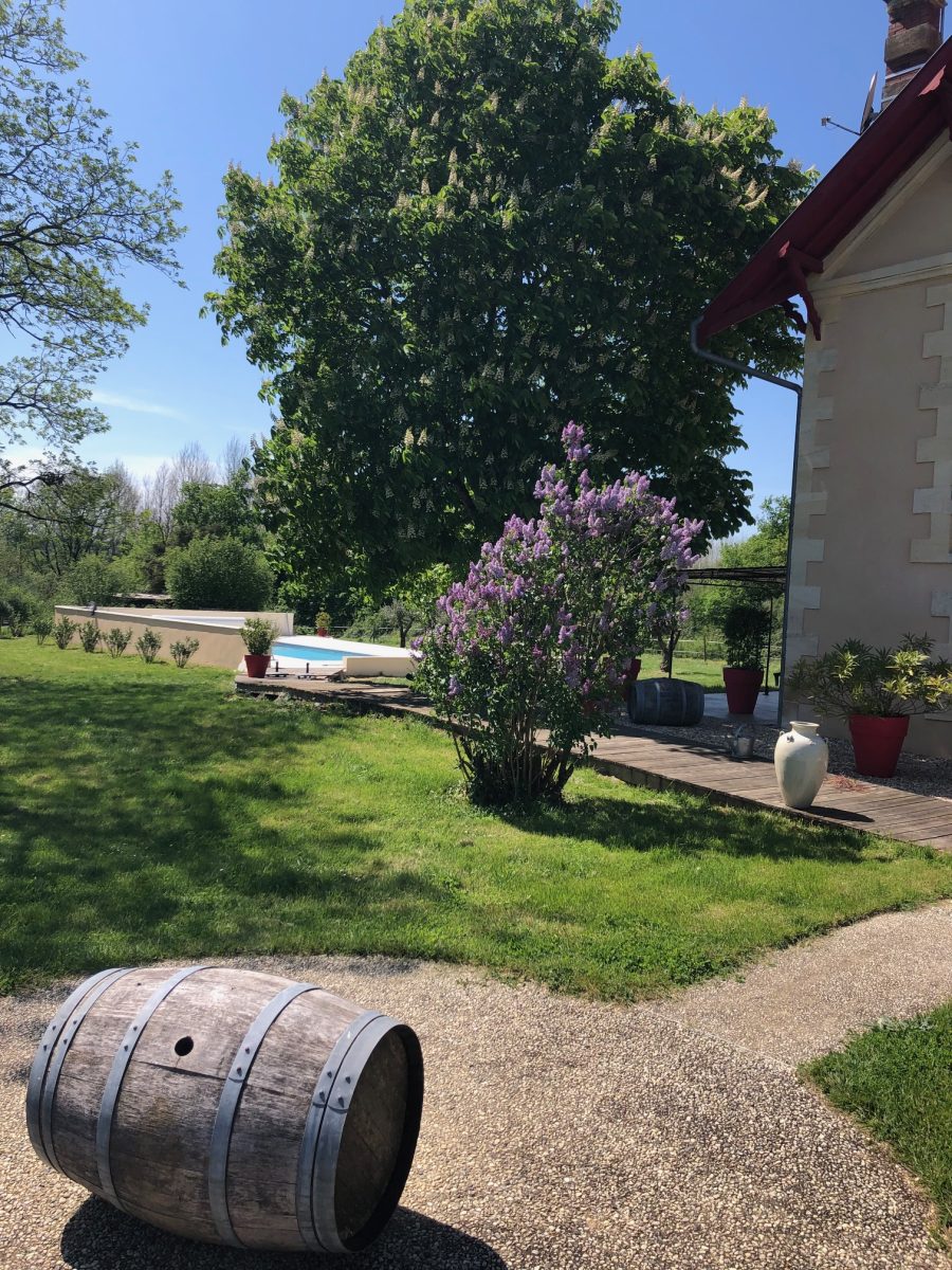 IMG_6484-f24284d74b6e8deec44f94801386901c