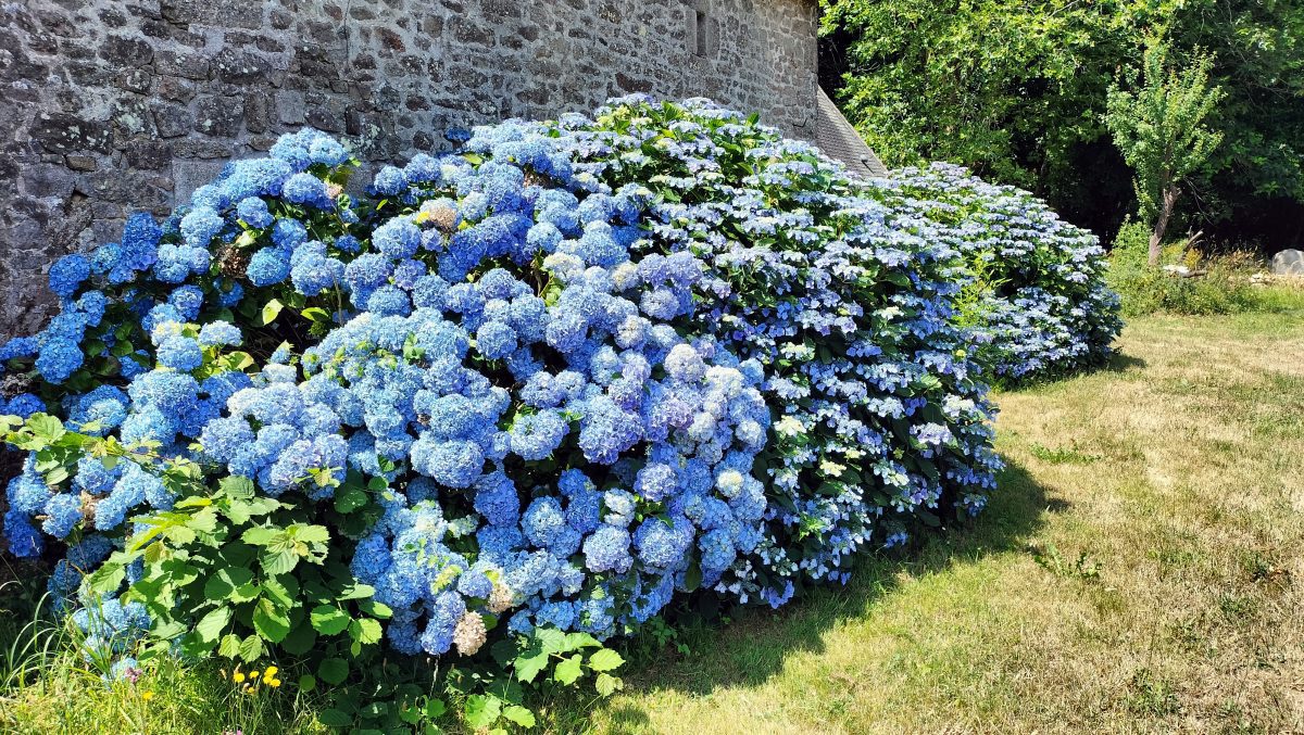 IMG20230625125123-c1eb22926b2d34b7385109f4c03785f4