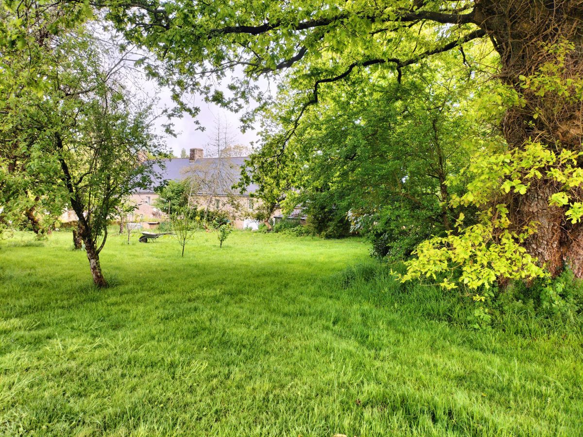 IMG20240506105807-c78bc3119f8d3a10c462cf2b21b89138