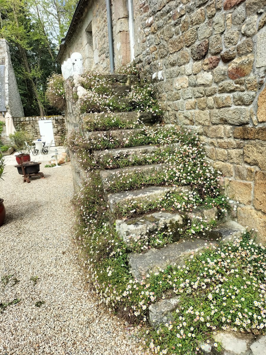 IMG20240506121712-34fef450c5c8ccff796d3added2d625c