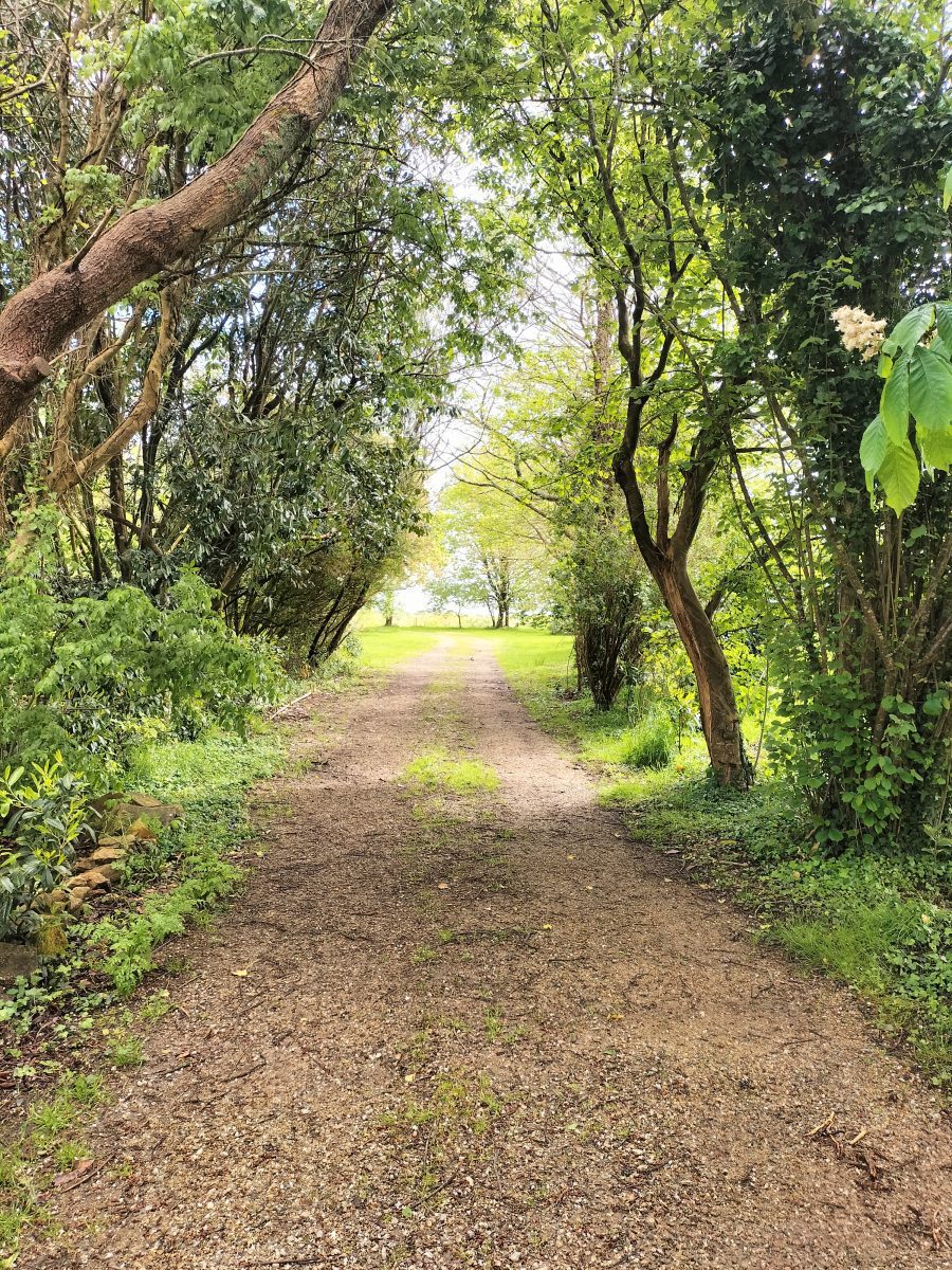 IMG20240506121939-4cba2a003cabbab63db4fb9287612a73